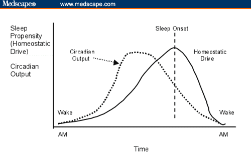 comparisonhomeostaticcircadian